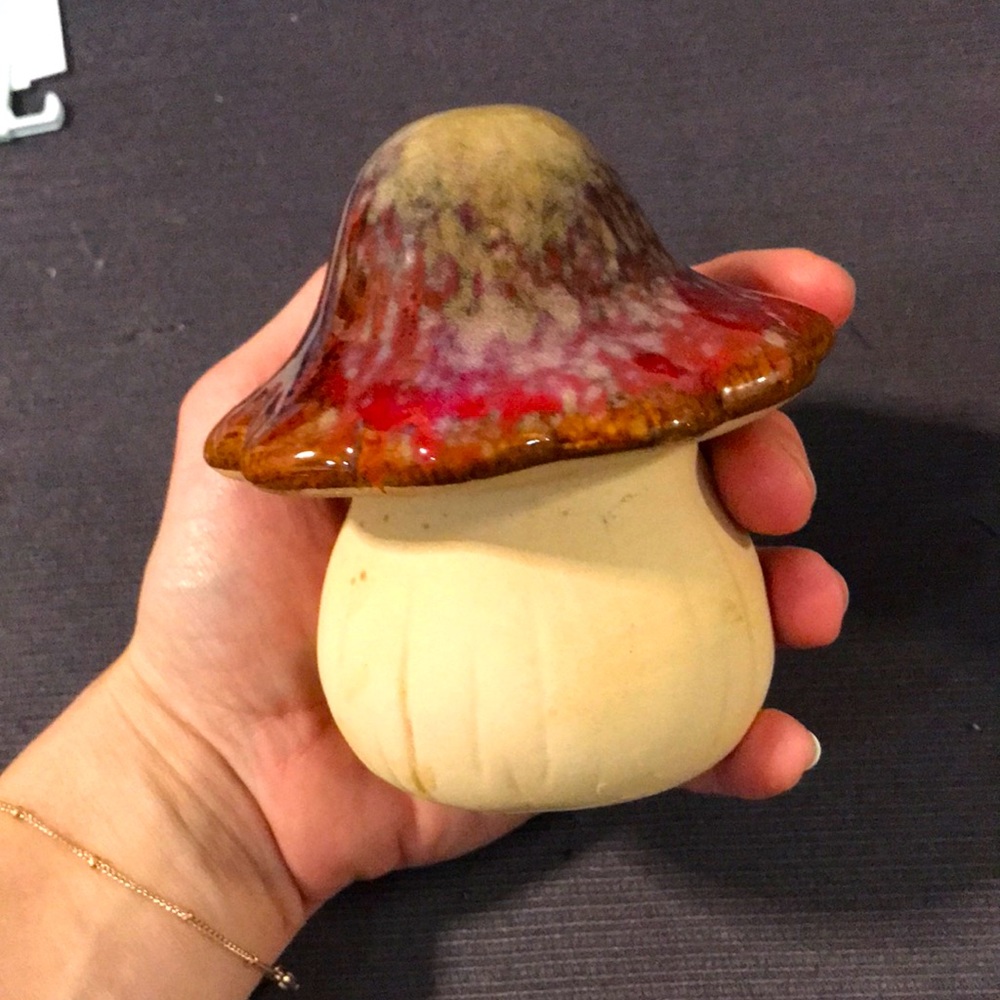Mushroom🍄